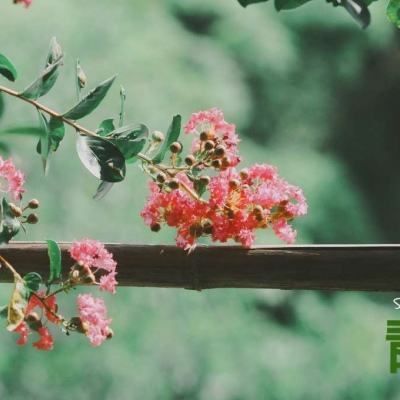 蜀山正传手游下载